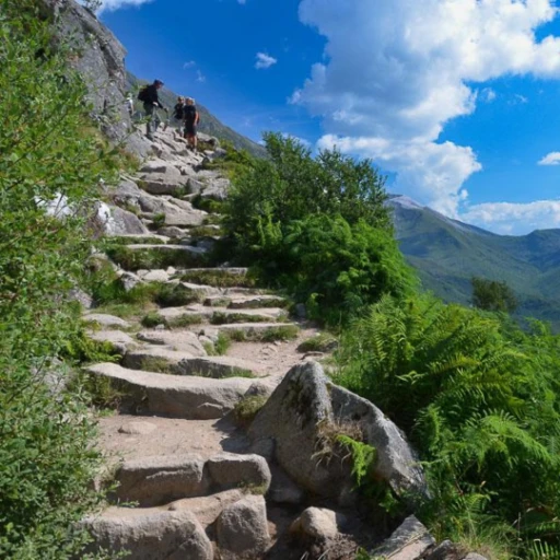 scotland-highlands-mountain-hiking-trail.webp